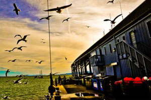 免费DDOS攻击测试工具